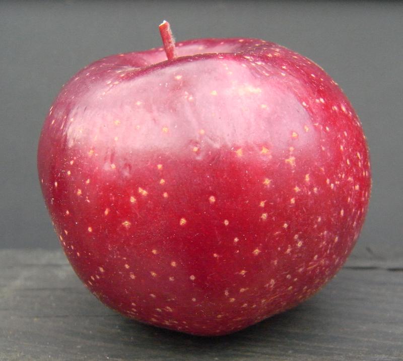 Apfel